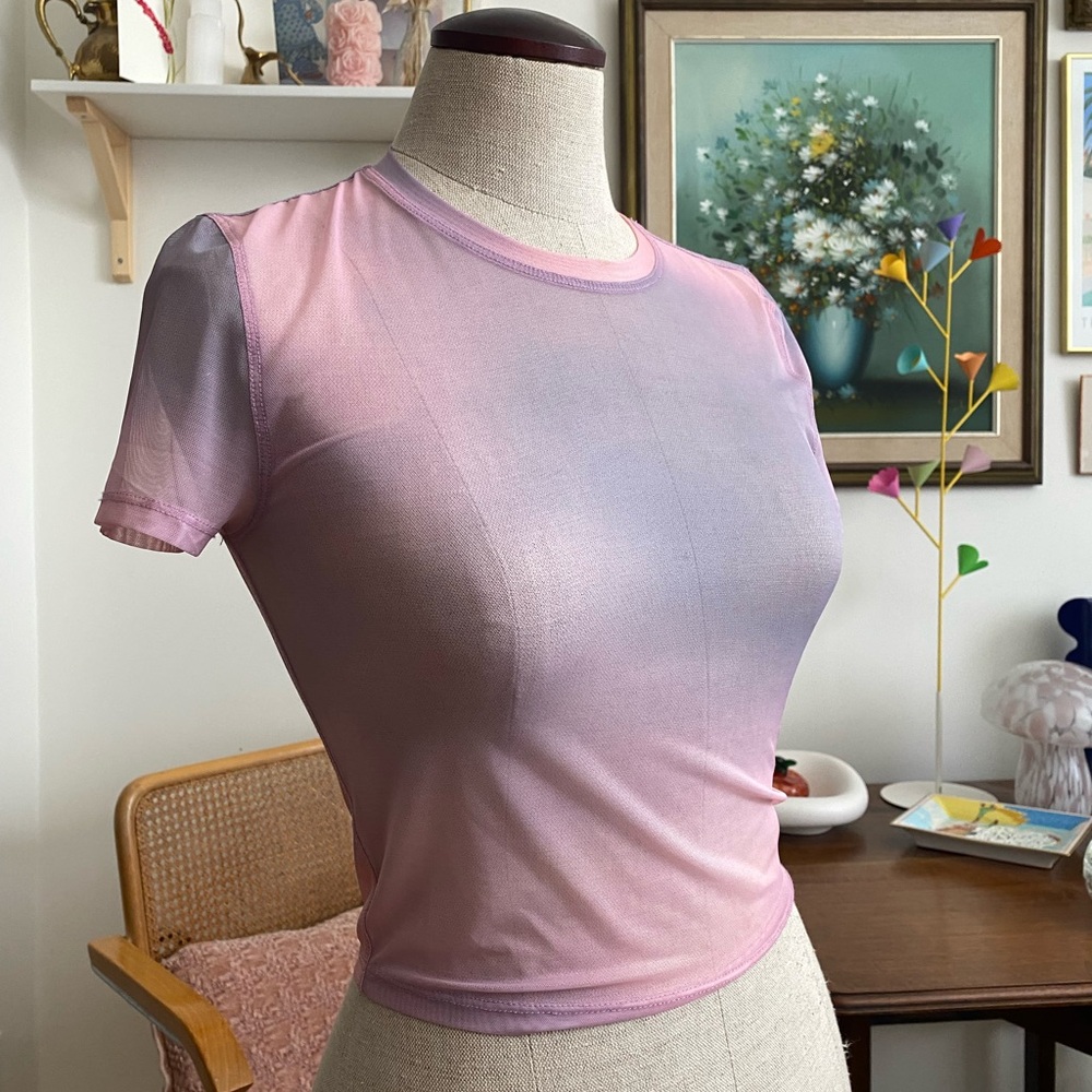 Aritzia Sunday Best Sheer Lavender and Pink Short Sleeve Top